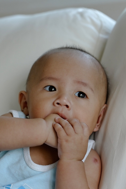 Famille & Amis-Sharp-012